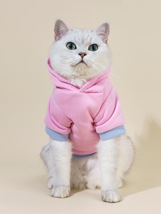 QWEEE Dinosaur Dog Hoodie - Warm Jacket for Puppy, Kitten, Small, Medium Dogs & Cats - Baby Pink, Large