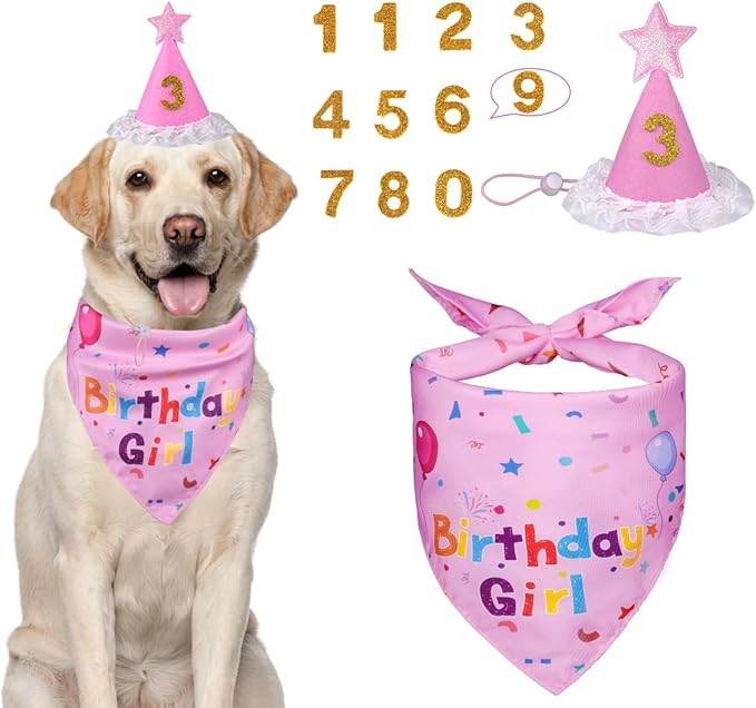 Dog Birthday Decorations, Dog Birthday Hat with Numbers for Large Medium Small,Pet Supplies (Pink)