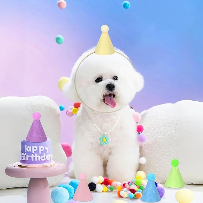 12pcs Mini Party Hats for Stuffed Animals, Macaron Hats Party for Dolls Dog Cat Rabbit Puppies Birthday Party Cone Hats Photo Prop