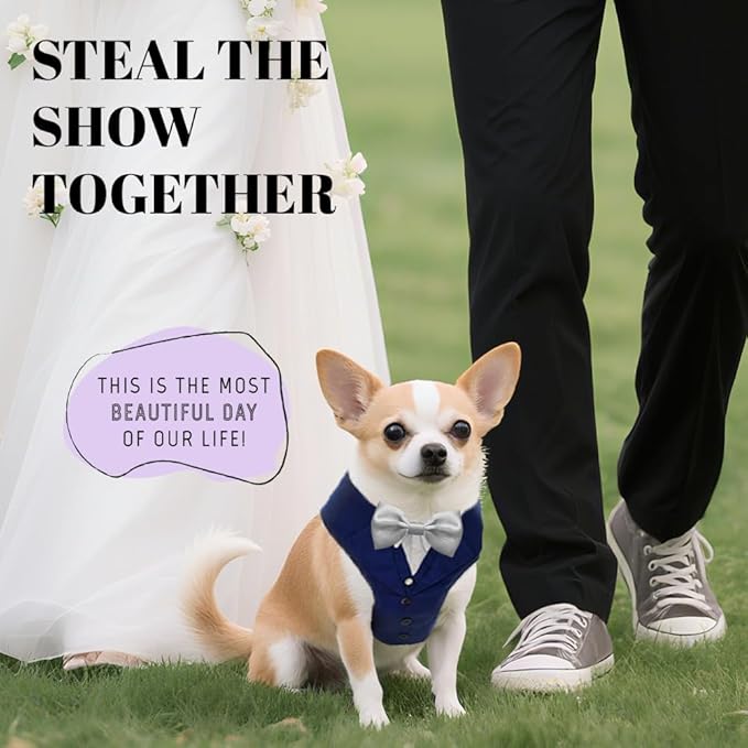 AVERYDAY XS Pet Tuxedo Harness, Wedding Costume Outfit for Small Dogs, Slim Cats and Tiny Pets with 8.3" Neck, 13-14.6" Chest, 10" Max Head Girth, Formal Suit Costume for Mini Breeds