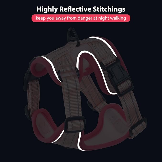 Rttochfy Cat Harness and Leash Set, Adjustable and Reflective Cat Vest, Escape Proof Kitten Harness, Easy to Put on with 3 Buckles for Cats Walking and Traveling (Pink, L)