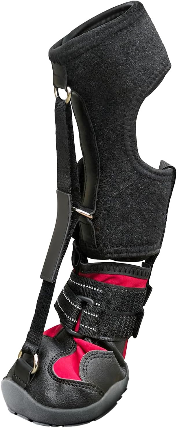 Dog Strap-On Drop Foot Orthotics (Knuckleless Boot Orthotics) – Dog Knee Pads,Corrective Dog Shoes That Safely Lift Toes, Relieve Foot Problems, Arthritis, and Improve Your Dog's gait (M)