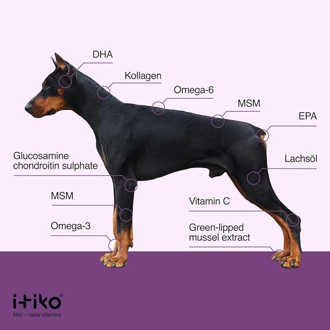 Bone and Joint Supplement for Dogs with Green-Lipped Mussel, MSM, Glucosamine, Chondroitin & Omega-3 | 100-120 PCS of Chews for All Breeds Size