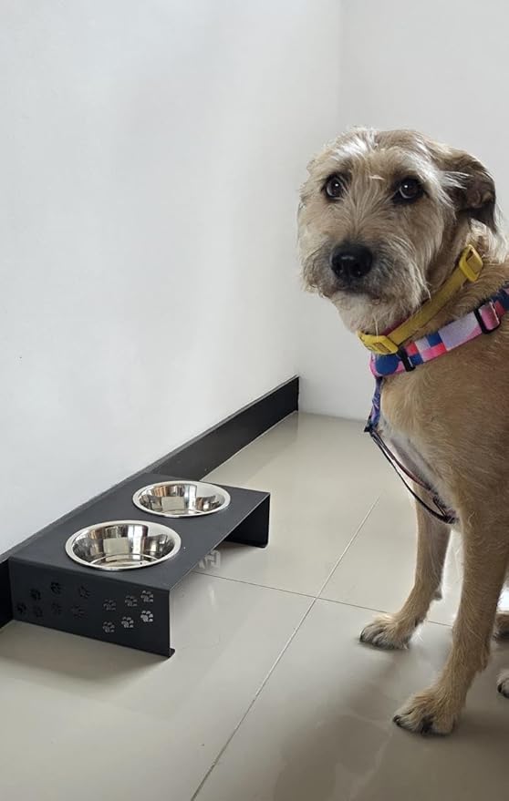 Elevated Dog Bowls for Food and Water with 2 Stainless Steel Bowls - Pet Feeder Stand, Raised Bowl Stand for Dogs and Cats - Dog Food and Water Bowl Set by Calaox