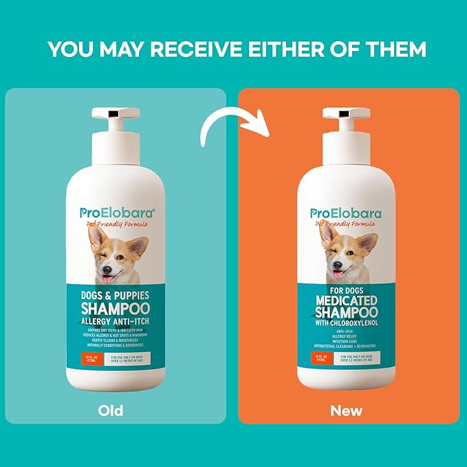 Medicated Dog Shampoo for Itchy Relief: Yeast Skin Infections and Bacterial Treatment for Dogs - Helps Hot Spots, Deodorizing, Allergy Relief - Healthy Skin & Coat - Antifungal Dog Shampoo 16 oz