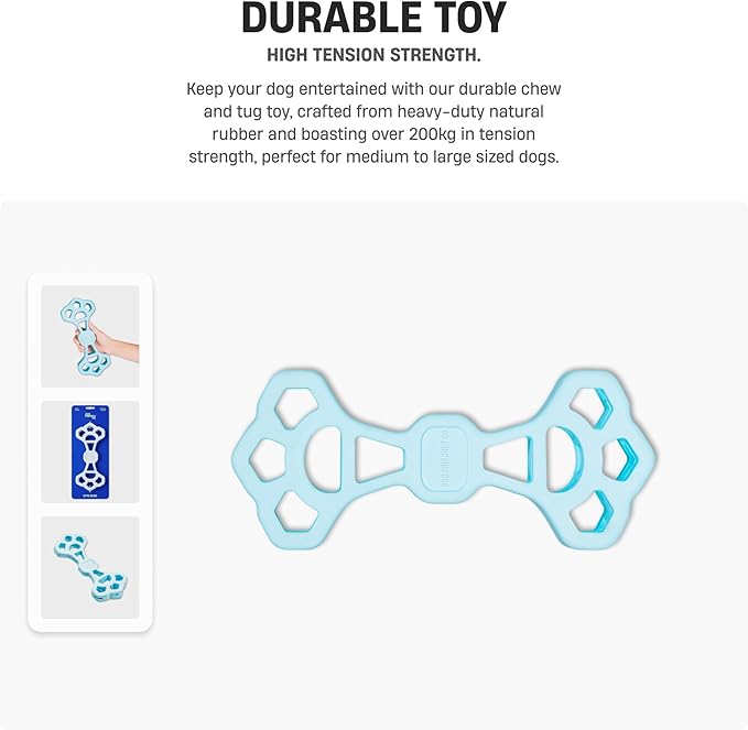 Dog Friendly Co Byte Bone | Tug of War Dog Toy | Chew, Tug & Fetch | Made from Heavy-Duty Rubber for Aggressive Chewers | Interactive Play | Keeps Dogs Active, Strong & Engaged | Blue | 1 Count