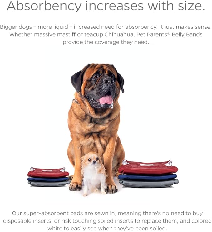 Pet Parents® Washable Belly Bands for Male Dogs (3pack) + Extendrs® of Durable Dog Diapers Male, Premium Male Dog Diapers & Dog Wraps (Small, Kingsmen)
