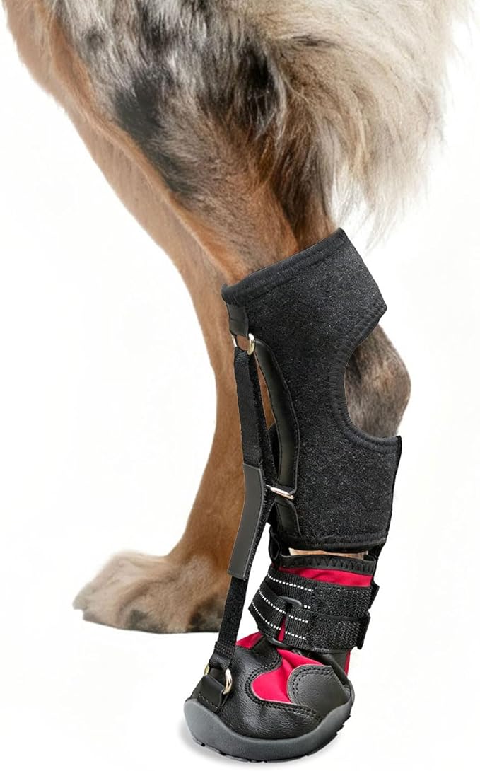 Dog Strap-On Drop Foot Orthotics (Knuckleless Boot Orthotics) – Dog Knee Pads,Corrective Dog Shoes That Safely Lift Toes, Relieve Foot Problems, Arthritis, and Improve Your Dog's gait (M)