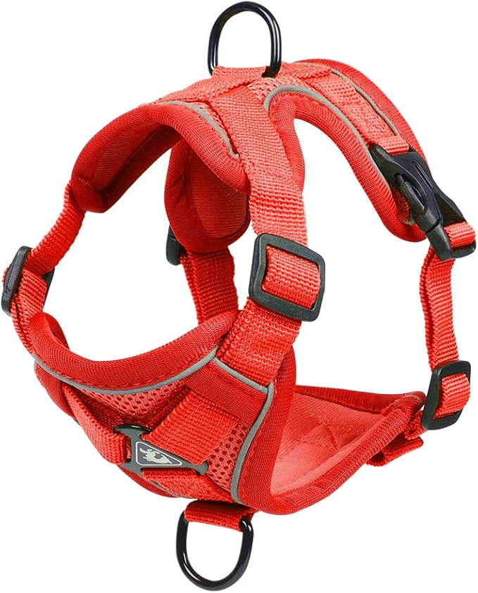 Cat Harness and Leash Set, Upgraded Escape Proof Adjustable Vest with Lead for Kitten Puppy Outdoor Walking, Soft Breathable Mesh Jacket with Reflective Strips for Dark Night (M, Fresh Red)