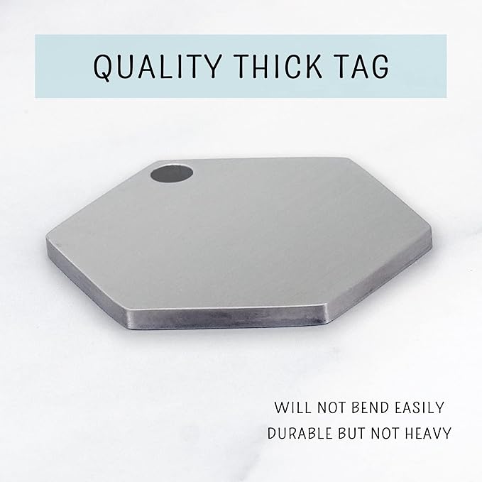 Ultra Joys Custom Personalized Hexagon Dog ID Tag - Brushed Stainless Steel Silver Large