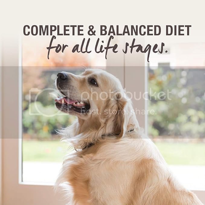 K9 Natural - Grain Free Freeze Dried Dog Food - Chicken, 4lb