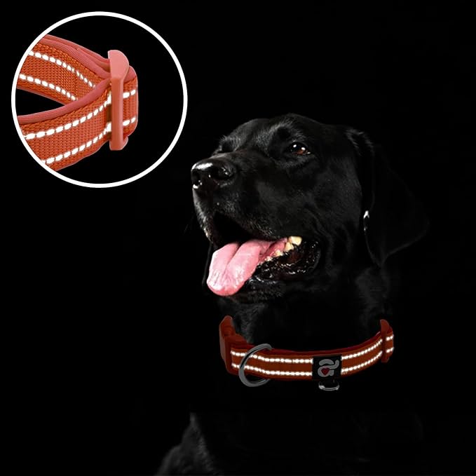 azuza Reflective Dog Collar, Soft Neoprene Padded Pet Collar with ID Tag Ring, Adjustable for Small Dogs,Rust Red,S