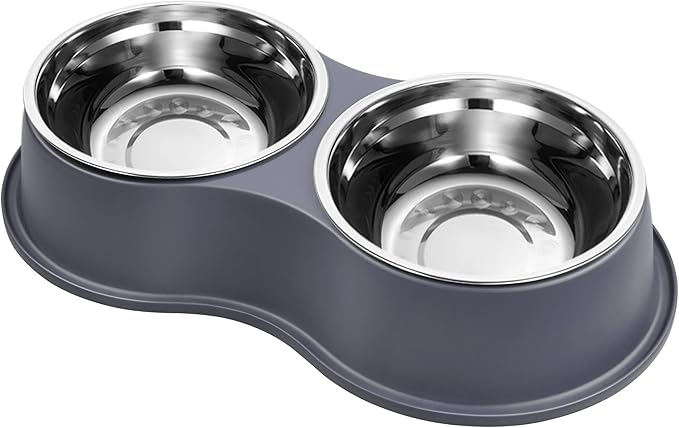Dog Bowl Double Dog Water and Food Bowl Stainless Steel Bowls with Non-Slip Resin Station, Pet Feeder Bowls for Puppy Medium Dogs Cats