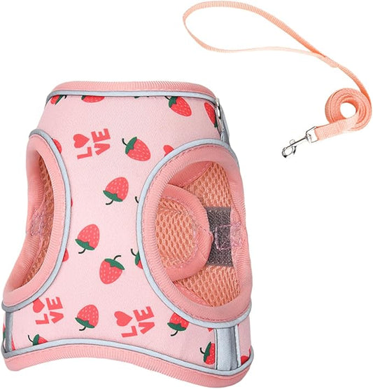 Step in Dog Harness and Leash Set, Flower Adjustable Easy Walk Puppy Harnesses, Soft Mesh No Pull Pet Vest Harness for Small Medium Dogs(Strawberry, M)