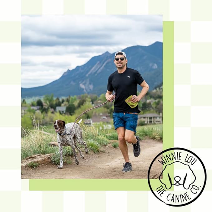 Winnie Lou The Canine Co. Freeze Dried Bison Liver Tidbits - Single Ingredient, Human-Grade, No Artificial Flavors or Fillers, Perfect for Training (Pack of 1)