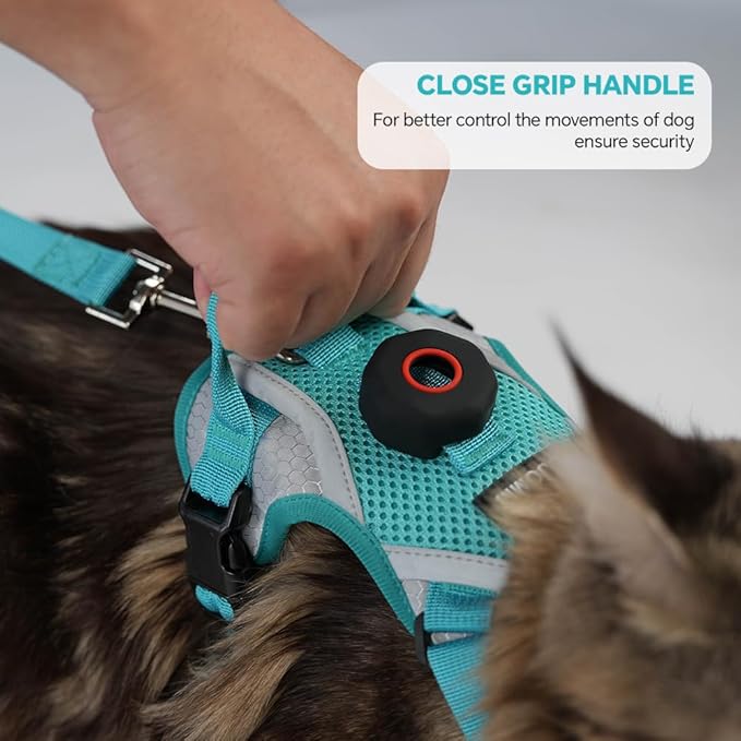 Cat Harness and Leash Set with AirTag Holder: Upgraded Escape Proof Vest with Lead for Small Dog Puppy Large Cat Walking，Soft Breathable Mesh Coat with Reflective Strip (Green, M)