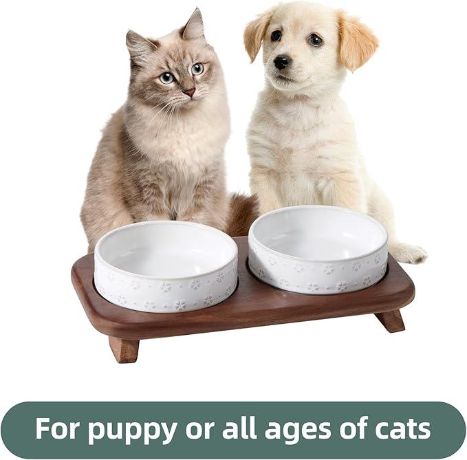 6.1inch Raised Double Cat Bowls Set with Acacia Wood Stand, Wide Whisker Friendly Ceramic Food & Water Bowls for Cats, Puppy, Kitty, Pet Bowl(Double Bowls+Stand, Arctic White)