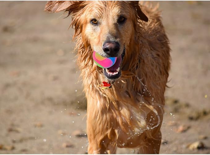 FineInno 4 pcs Light Up Dog Balls,Flashing Elastic Ball,Glow Ball,Glow in The Dark Interactive Pet Toys for Aggressive Chewers,Puppy, Cats, Dogs