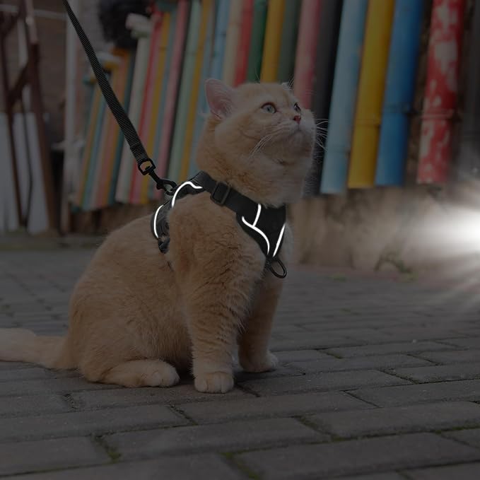 Cat Harness and Leash Set: Upgraded Escape Proof Vest with Lead for Large Cat Small Dog Puppy Walking, Soft Jacket Reflective Strips, Black (L)
