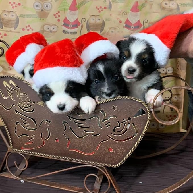 6 Pcs Dog Cat Pet Santa Hat Christmas Pet Costumes Santa Hat Pet Christmas Photo Props for Puppy Kitten Small Cats Dogs