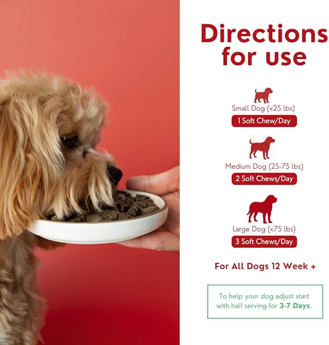 TPC Probiotics for Dogs, 90 Soft Chews – Dog Probiotics with Digestive Enzymes & Prebiotics – Supports Gut Health, Diarrhea & Bowel Support, Seasonal Allergies – Pet Supplement