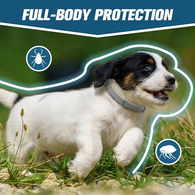 Flea and Tick Collar for Puppies, Dog Tick Collars, Flea Collar for Small Dogs, Waterproof, 8 Months Protection Each, One Size Fits All-2P