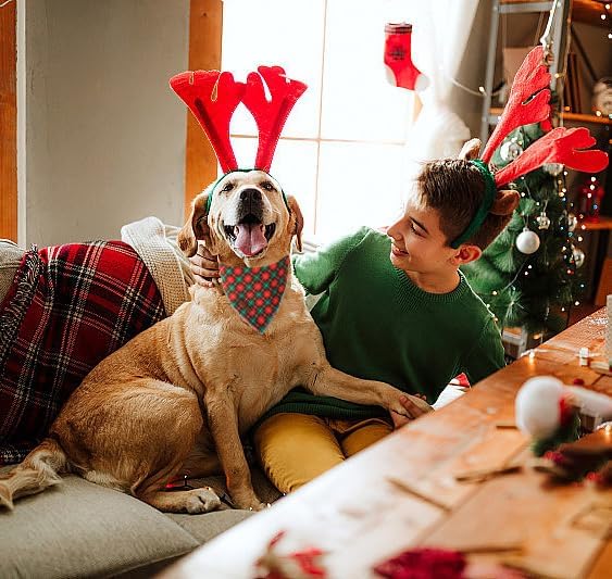 Lionet Paws Cotton Christmas Dog Bandanas,Red Green Grid Comfortable Dog Bandana Bibs Scarf Dogs Kerchief,Autumn Scarves for Medium Large Dogs Pets