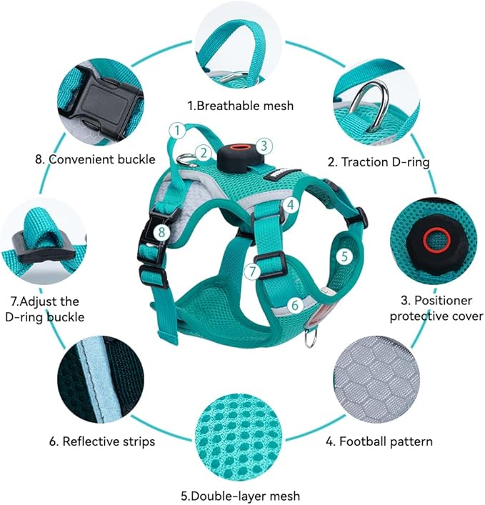 Cat Harness and Leash Set with AirTag Holder: Upgraded Escape Proof Vest with Lead for Small Dog Puppy Large Cat Walking，Soft Breathable Mesh Coat with Reflective Strip (Green, XL)