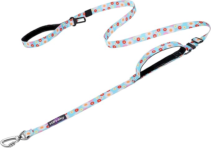 Hotsky Heavy Duty Dog Leash,4.5-6 FT Adjustable Durable Nylon Seatbelt Lead with Two Padded Traffic Handle and Carabiner for Large Medium and Small Breed Dogs,Daisy