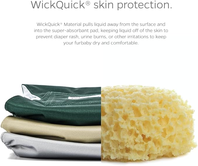 Pet Parents® Washable Belly Bands for Male Dogs (3pack) + Extendrs® of Durable Dog Diapers Male, Premium Male Dog Diapers & Dog Wraps (Large, Spruce)