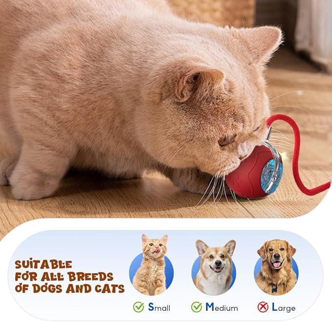 Interactive Cat Toys for Indoor Cats, 2026 New Smart Interactive Pet Toy Ball, Cat Toys for Bored Indoor Cats, Smart Rolling Ball for Dogs & Cats (Red)