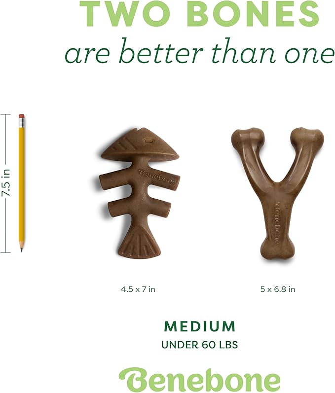 Benebone 2-pack Fishbone/Wishbone Durable Dog Chew Toys, Real Fish, Real Bacon, Made in USA, Medium