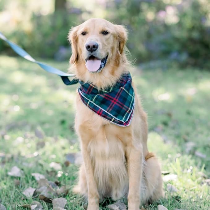 Lionet Paws Christmas Dog Bandana Washable Cotton Handkerchief Scarf Triangle Green Bandanas for Small Medium Dogs Girl Boy