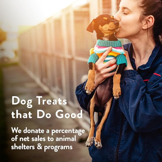 Portland Pet Food Company Healthy Dog Treats Vegan Variety Pack - Grain-Free, Human-Grade, Apple, Gingerbread, Pumpkin Treats - Natural Dog Training Treats & Biscuits Made in The USA Only - 3-Pack