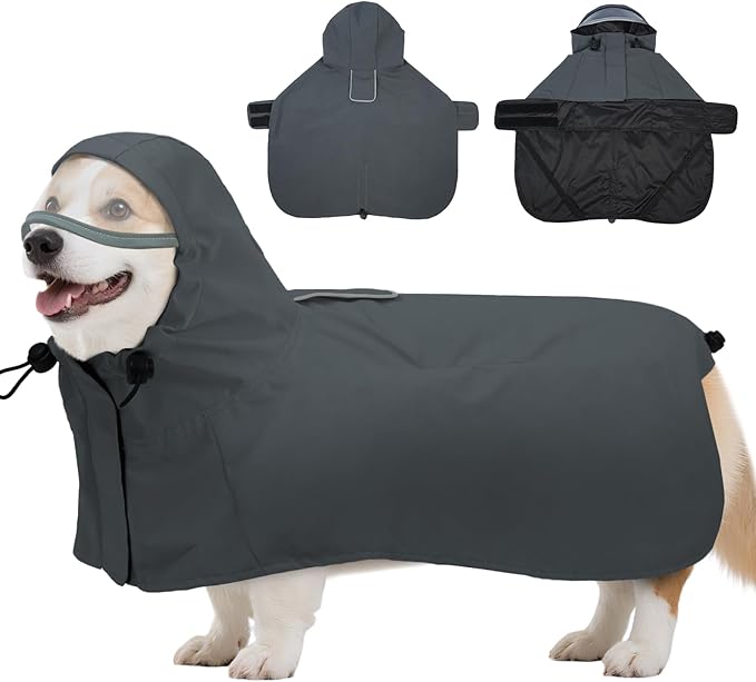 DENTRUN Dog Rain Jacket for Poodle, Bichon – Breathable Mesh Lined, No-Sleeves Easy Wear – Perfect for Rainy Day Walks, Park Visits, Travel, M