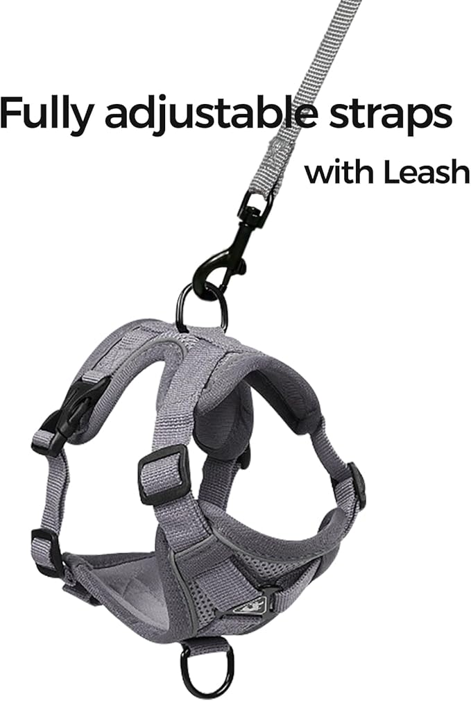 Cat Harness and Leash Set Escape Proof Tactical Small Kitten Harness Emotional Support Cat Vest, Grey, S