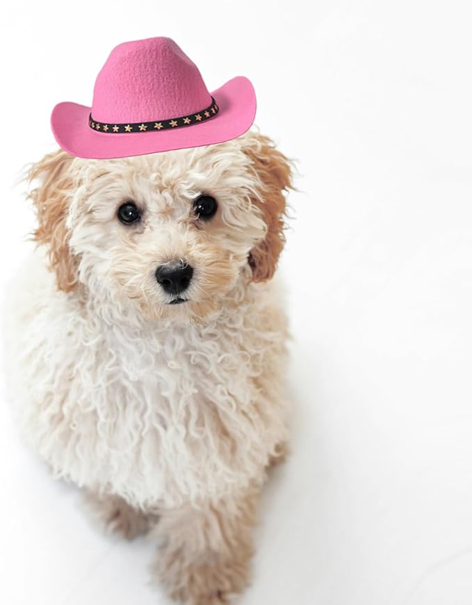 Dog Cowboy Hat Cat Cowboy Hat Pet Cowboy Costume Mini Cowboy Hat for Dogs Cat Holiday Halloween Pet Party Decoration (Pink, Large)