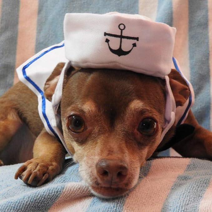 PETLESO Cat Costume Cat Sailor Hat Small Dog Outfit Pet Halloween Costumes for Kitten,Puppy