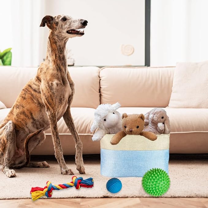 Custom Dog Cat Toy Storage Basket with Name Sturdy Foldable Collapsible Storage Bin with Handles for Organizing Pet Stuffs, Toys, Clothing,( Blue and White), 15" x 9.8" x 9"