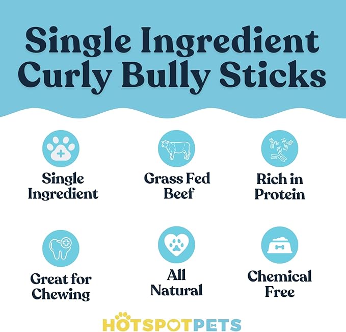 hotspot pets Curly Spring Bully Sticks for Dogs - (12 Pack) Premium All Natural Long Twisted Beef Pizzle Dog Chew Treats - Grain Free Fully Digestible Rawhide Alternative - 6 Inch Stix