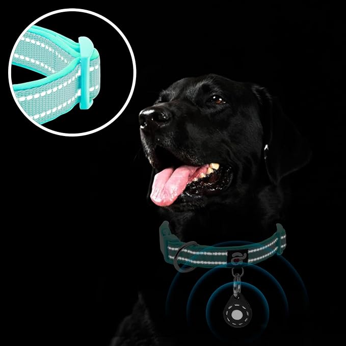azuza Reflective Dog Collar with Airtag Holder, Soft Neoprene Padded Pet Collar with ID Tag Ring, Adjustable for Small Dogs,Teal,S