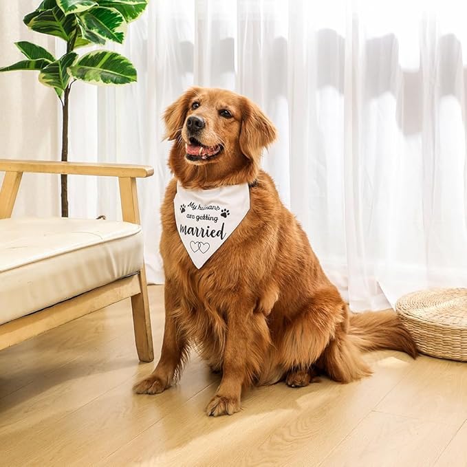 My Humans are Getting Married Dog Wedding Bandana Collar, Adjustable Engagement Pet Bandana with Quick Release Buckle & D-Ring for Dogs & Cats