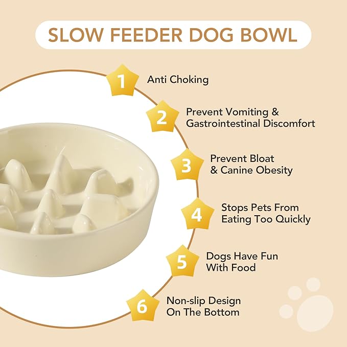 Ceramic 0.9 Cup Raised Slow Feeder Dog Bowl Set, Elevated 5.1inch Bowl and 6.1inch Slow Pet Food Dish with Wooden Stand for Small Dog and Cat (2 x Beige+ Stand)