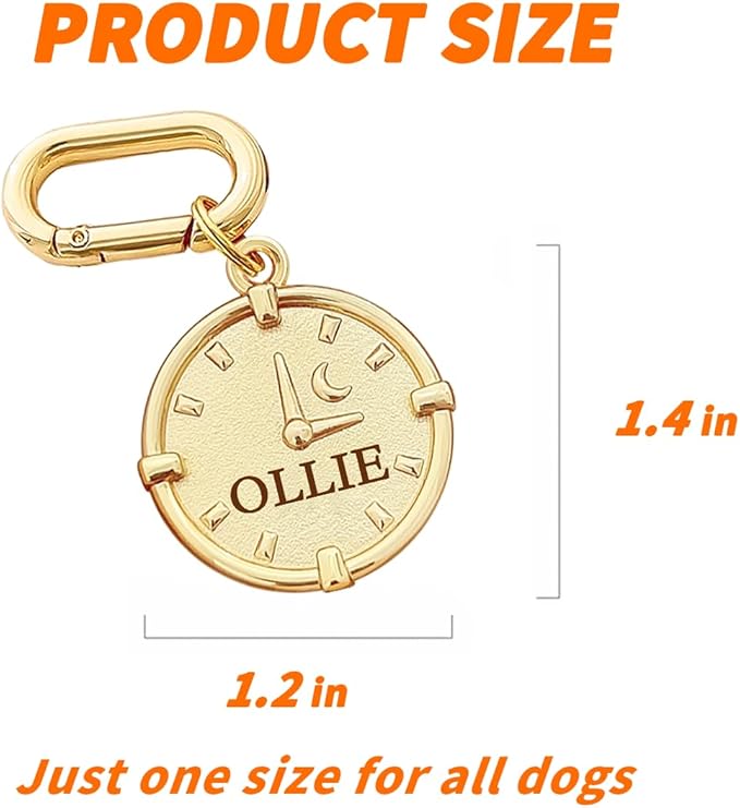 Dogs ID Tags Personalized Double Sided Deep Engraved Cat & Dog Collar Charm Round Shape Frosting Process Silver/Gold Plated (Clock-Gold)