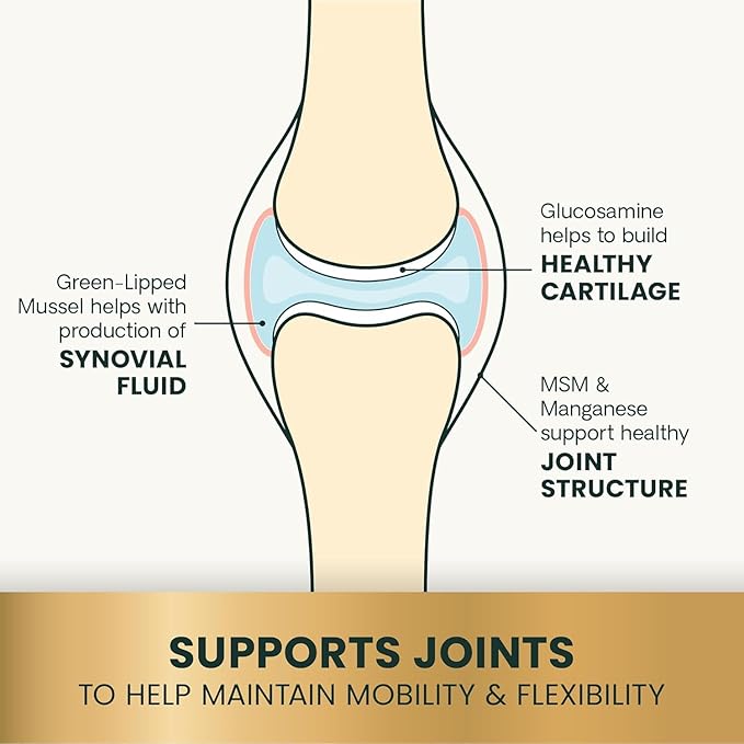 VetriScience Healthy Hip & Joint, GlycoFlex 2 for Dogs – Vet Formulated Glucosamine, MSM & Green-Lipped Mussel Soft Chew to Support Mobility, Flexibility & Joint Health, Chicken Flavor Chew, 120 Cnt