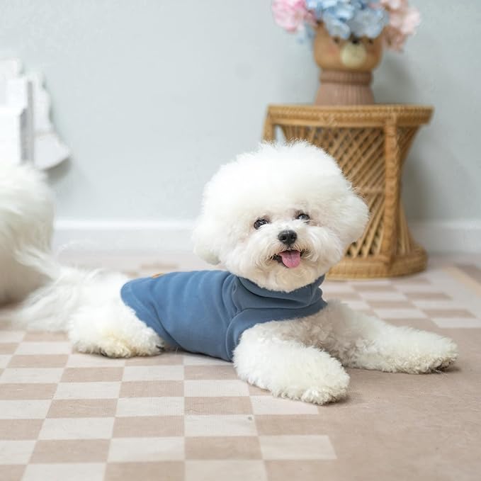 EXPAWLORER Soft Cat Sweater - Sweaters for Cats Only Warm Kitten Clothes, Fall and Winter Pet Coat Pullover Design, Fleece Sweatshirt Clothing Also for Puppy Small Dogs, Blue Large