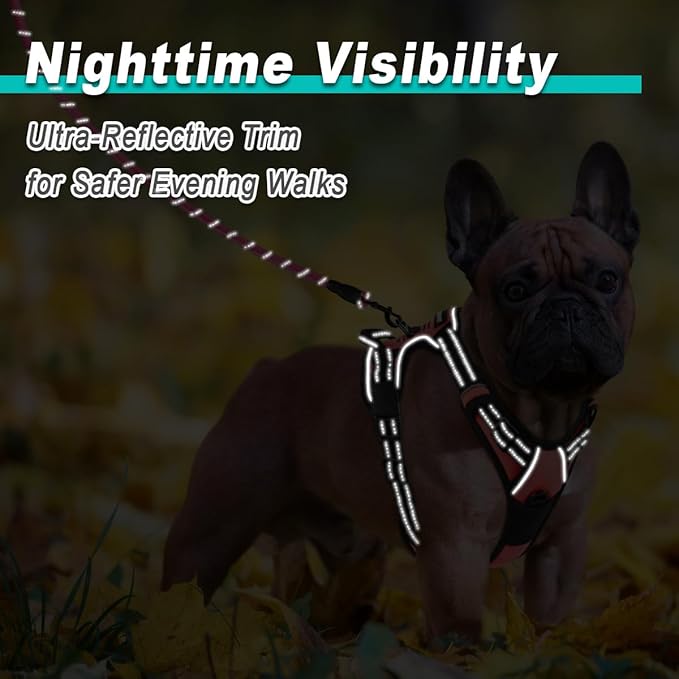 BARKBAY Dog Harness No Pull for Small Dogs - Adjustable, Reflective, Comfortable, No Choke, Heavy-Duty - Perfect for Outdoor Training, Walking, and Hiking - Strong & Durable - XS & Light Pink