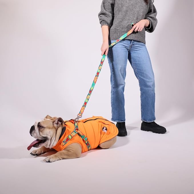 Generic Pawlook Dog Raincoat with Chest Leash and Collar, Reusable Waterproof Pet Coat for Small Dogs, Medium Dogs, Large Dogs (Orange, Small)