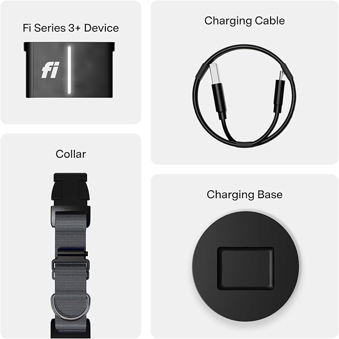 New Fi Series 3+ Smart Dog Collar - GPS Dog Tracker and Activity & New Fitness Monitor, Waterproof, LED Light, Escape Alerts, Nationwide Coverage [Free 6 Month Membership] (Gray, Medium)