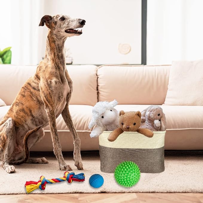 Custom Dog Cat Toys Storage Basket Bin with Name Sturdy Foldable Collapsible Cat Storage Bin with Handles for Organizing Pet Stuffs, Toys, Clothes,( Brown and White), 15" x 9.8" x 9"